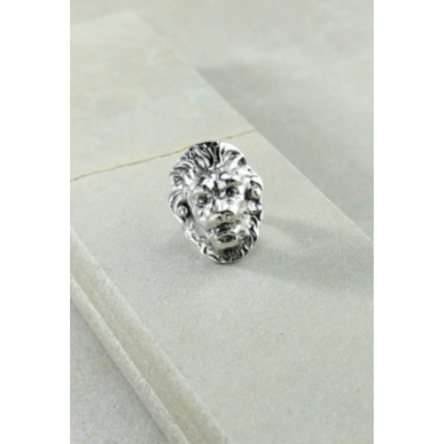The Vandal Silver Ring