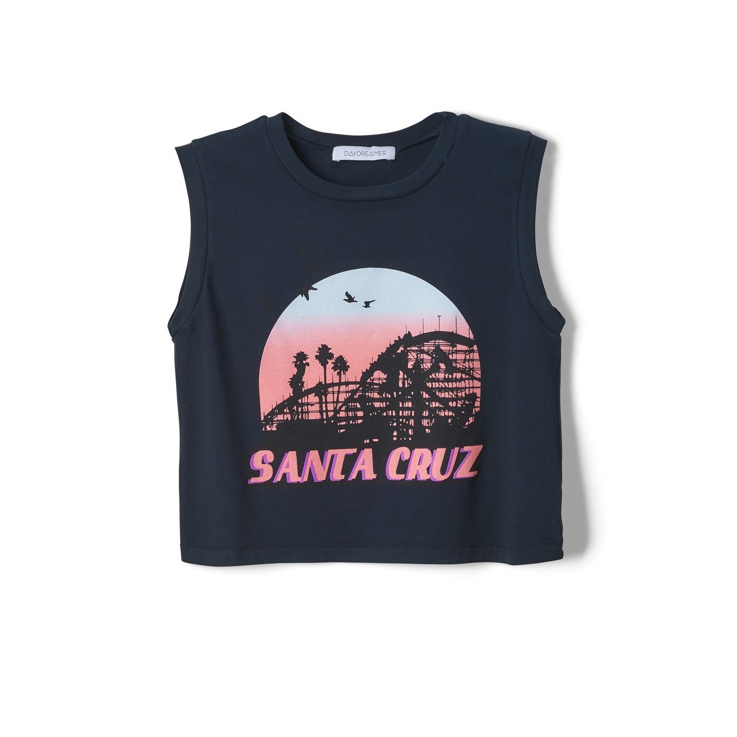 Santa Cruz Rebel Crop Tank